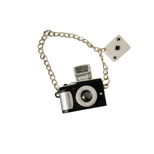 Camera with Flash