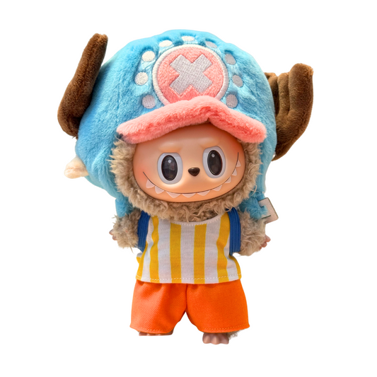 One Piece Costume
