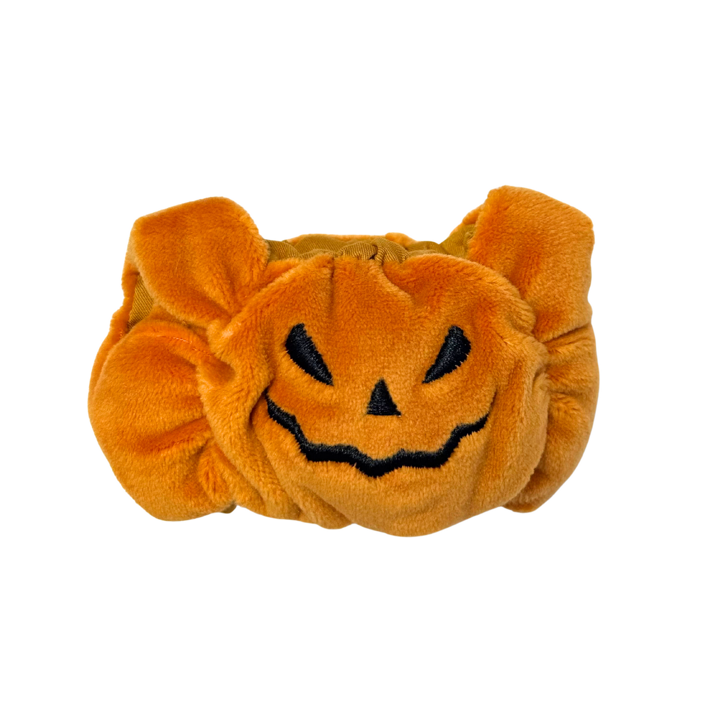 Pumpkin Costume